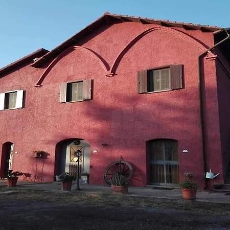 Il Baffetto B&B Roma Exterior foto