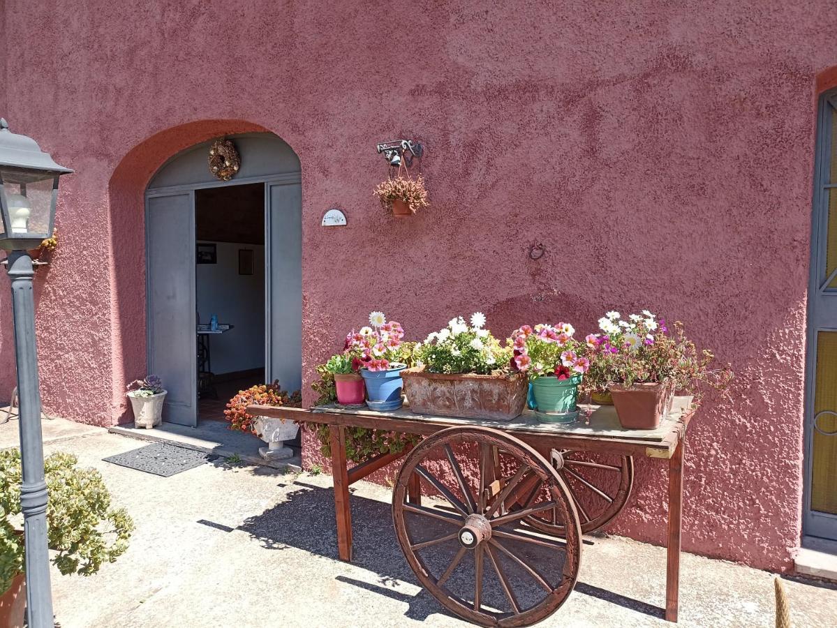 Il Baffetto B&B Roma Exterior foto