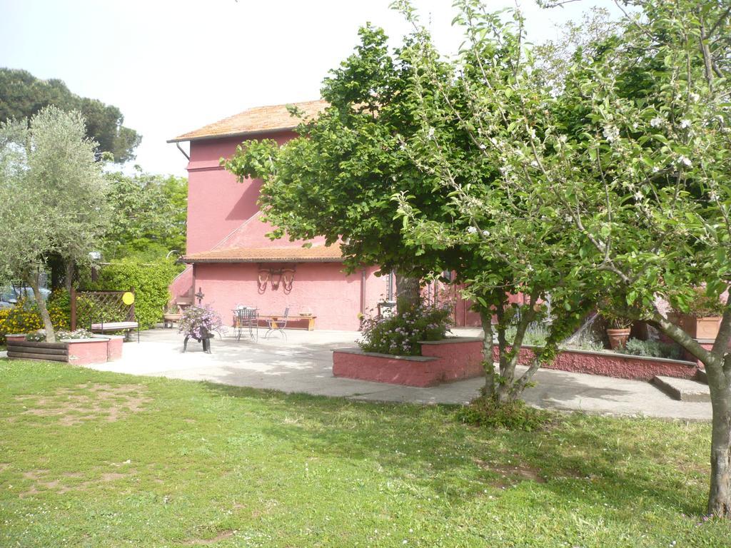 Il Baffetto B&B Roma Exterior foto