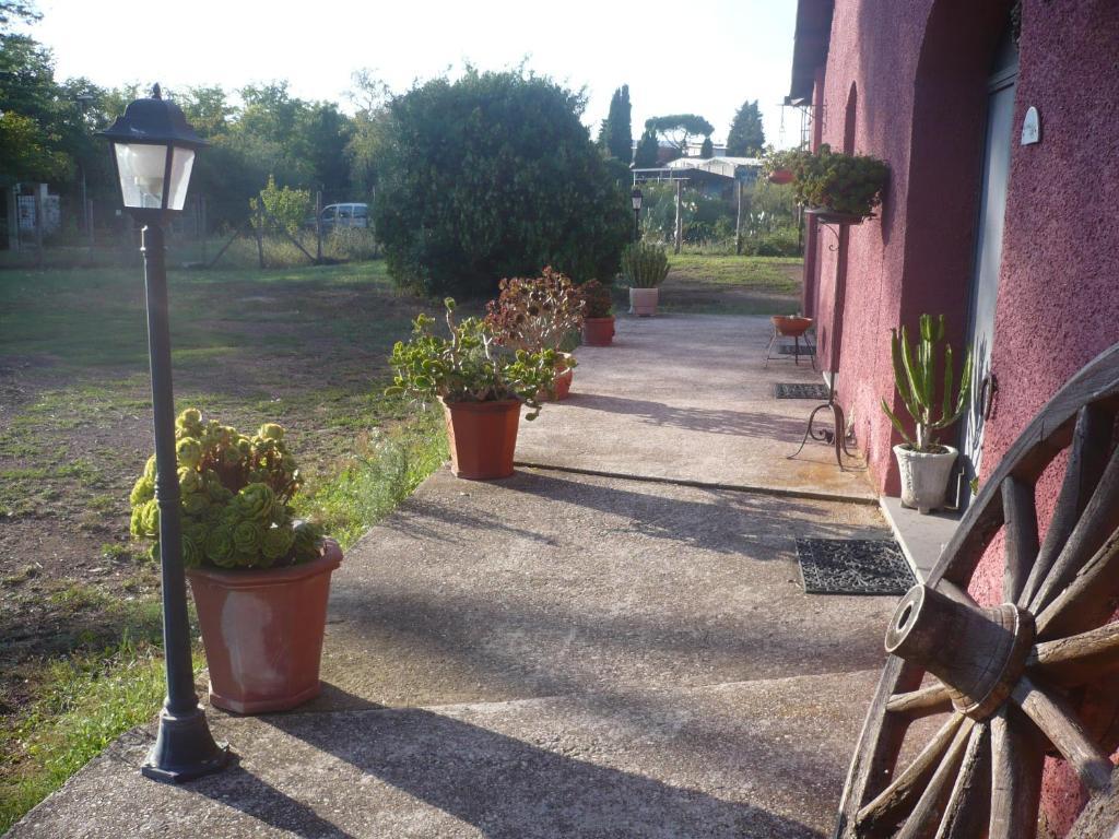 Il Baffetto B&B Roma Exterior foto