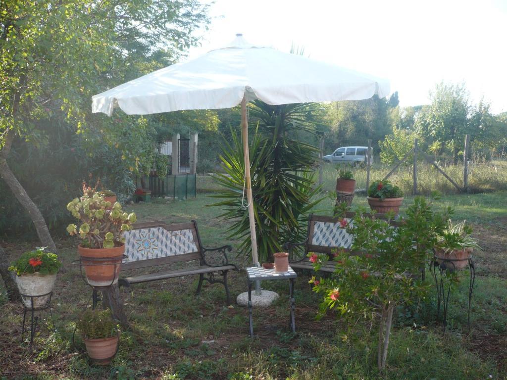 Il Baffetto B&B Roma Exterior foto
